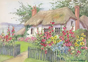 Cottage - Gardens