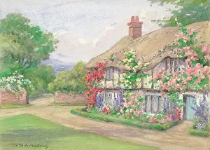 Cottage - Gardens