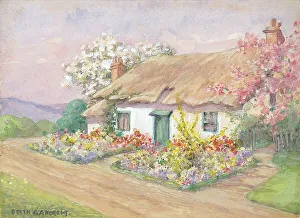Cottage - Gardens