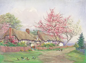 Andrews Gallery: Cottage Gardens Garden Flowers Watercolour painting