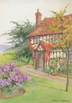 Cottage Gardens Garden Flowers Watercolour painting