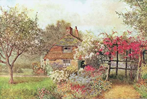 Matthews Prints: Cottage at Icklesham, Sussex