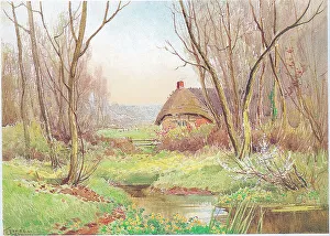 Meadow Prints: Cottage and Meadow