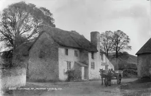 Saunton Prints: Cottage at Saunton