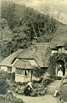 Cottage in the village of Selworthy Green, Somerset