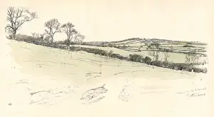 Hedge Prints: Cottesmore Hunt area near Ranksborough, near Oakham