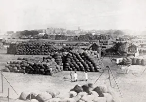 Cotton bales waiting for export, India