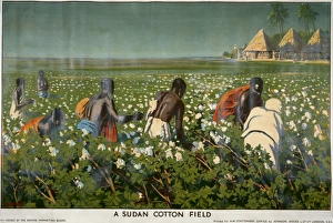 Date Market/Sudan/Africa