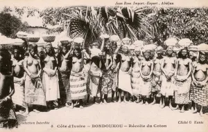 Harvesting Prints: The Cotton Harvest at Bondoukou, Ivory Coast