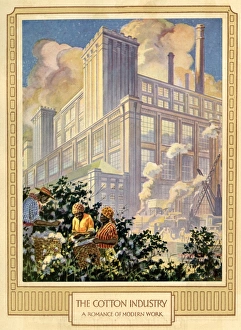 Amalgamated Collection: The Cotton Industry, a Romance of Modern Work
