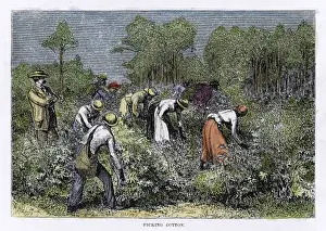 Manufacturing Prints: Cotton Picking