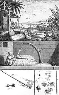 Cotton Processing 18th C