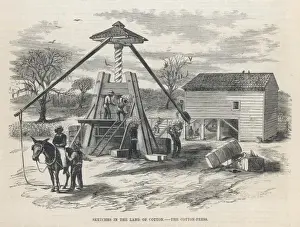 Cotton Processing / USA