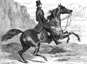 Relationship Prints: Count D orsay Riding