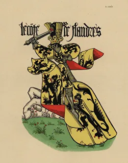 Flandre Gallery: Count of Flanders, Comte de Flandre
