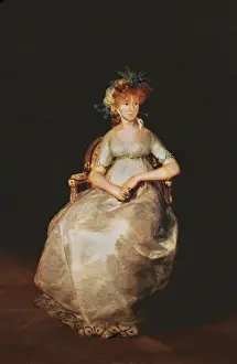 Niece Prints: The Countess of Chinchon