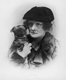 Lace Collection: Countess Howe Dog