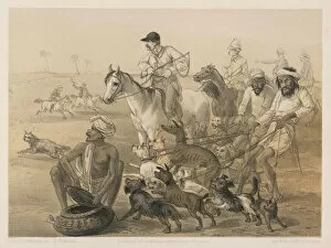 Country Hunt in India