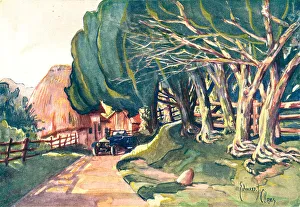 Edouard Collection: Country Lane On Salisbury Plain