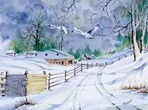 Winter Scenes Gallery: Country lane in winter, with two flying swans