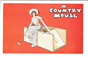 A Country Mouse by Arthur Law