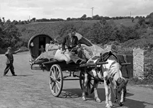 Sacks Prints: Country road with horse and cart