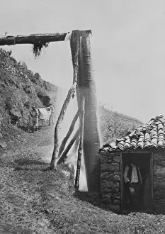 A country road, Madeira, Portugal