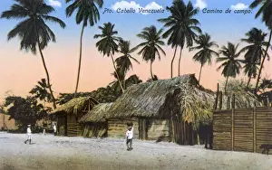 Puerto Prints: A Country Road - Puerto Cabello, Venezuela