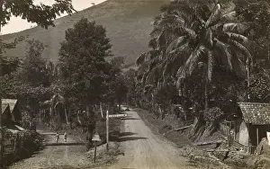 Jakarta Prints: Country road with signpost for Garoet, West Java, Indonesia