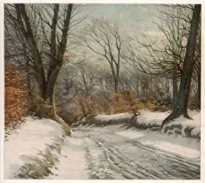 Country Road in Snow