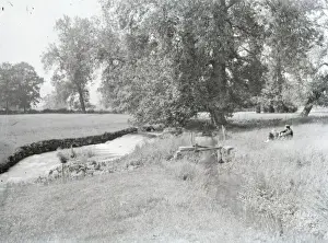 Country scene in Breconshire, Powys, Mid Wales