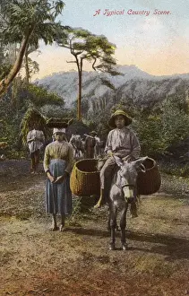 Plantation Prints: Country scene on a plantation in Jamaica, West Indies