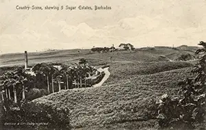 Barbados Prints: Country scene with five sugar estates, Barbados, West Indies
