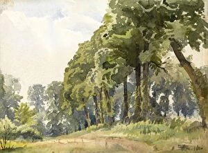 Images Dated 21st December 2011: Country scene with trees