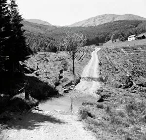 Ford Gallery: A country track - Machynlleth, Wales