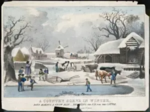 Country Winter