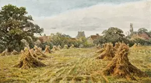 Countryside Field 1906