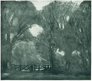 Fenced Prints: Countryside Gate