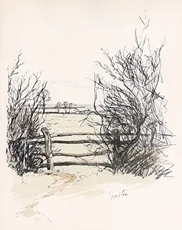 Countryside in the Grafton Hunt area, Northamptonshire