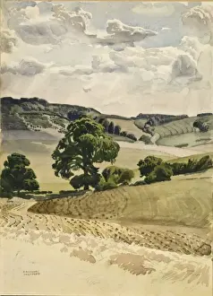Countryside scene