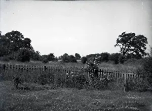 Countryside Scene, Hullbridge, Essex