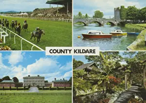 Multi Prints: County Kildare, Multi -View (horse-racing)
