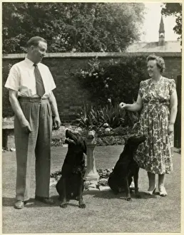 Labrador Prints: Couple in a garden with two labrador dogs
