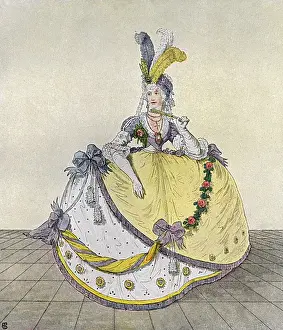 Elaborately Prints: Court Dress