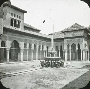Court of Lions