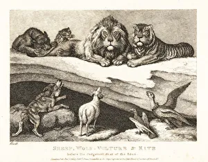 Gay And Phaedrus Prints: A courtcase between animals, with lion and tiger as judges