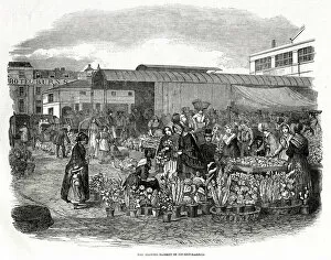 Images Dated 10th September 2018: COVENT GARDEN 1848