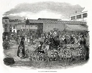 Accompanied Gallery: COVENT GARDEN 1848