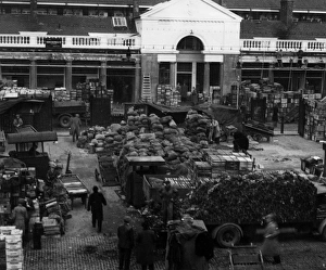 Images Dated 15th December 2011: Covent Garden Market