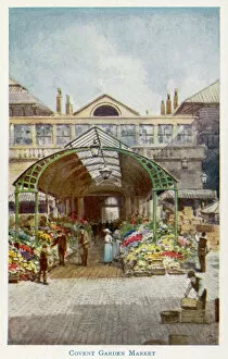Markets Collection: Covent Garden Mkt / Flower